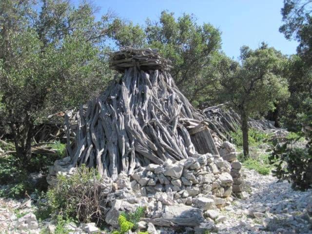 Il Giardino Di Frafa Homestay