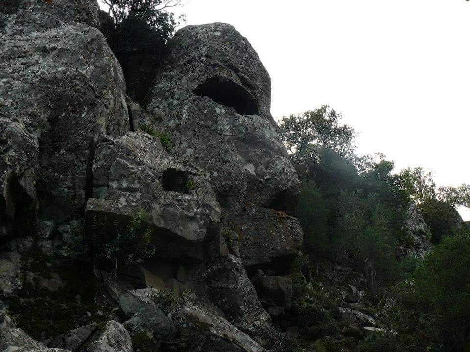 Il Giardino Di Frafa Homestay Quartu Sant'Elena