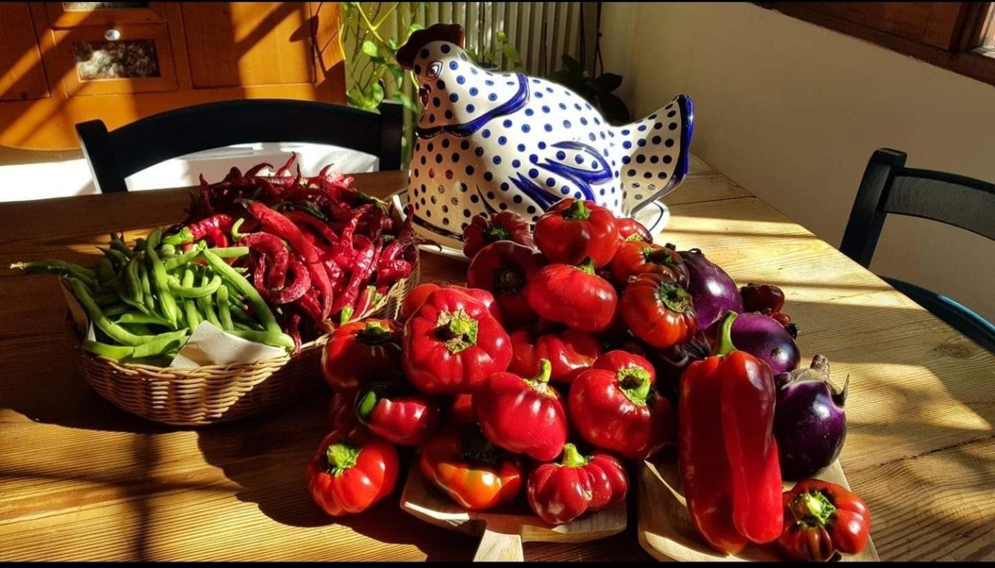 Homestay Il Giardino Di Frafa *
