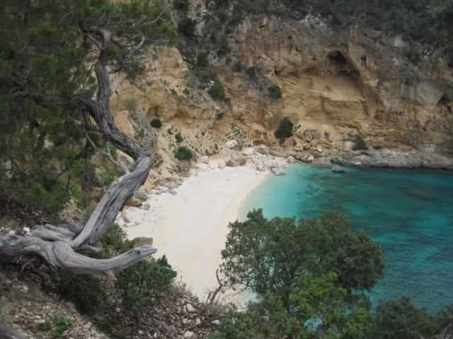 Il Giardino Di Frafa Quartu Sant'Elena